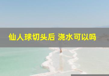 仙人球切头后 浇水可以吗